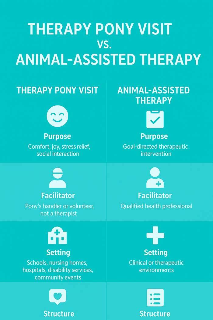 Therapy Ponies Melbourne Explained: The Difference from Animal Assisted Therapy