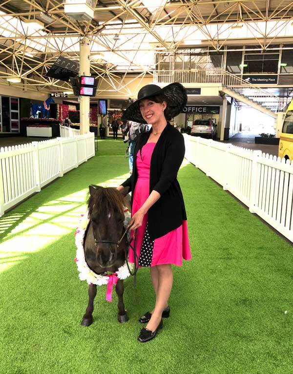 Therapy ponies Melbourne